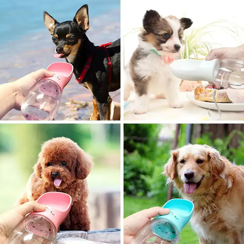 PRIMI PETS™ - Portable Pet Drinking Water Bottle - Kids water bottles 