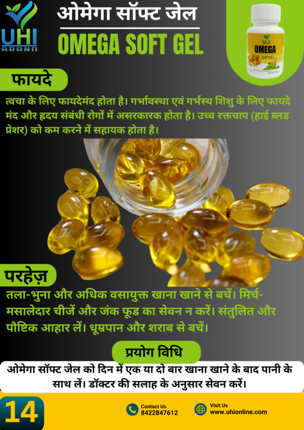 Ayurvedic Omega 30 capsule